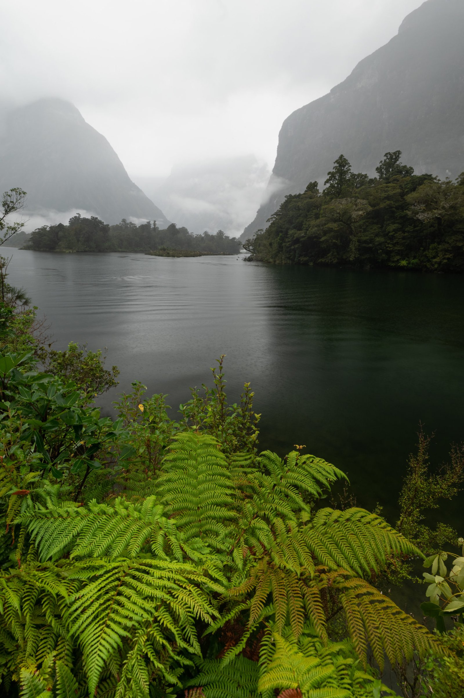 Milford Sound from Sandfly Point